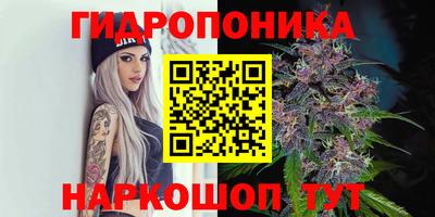 a pvp Кинель