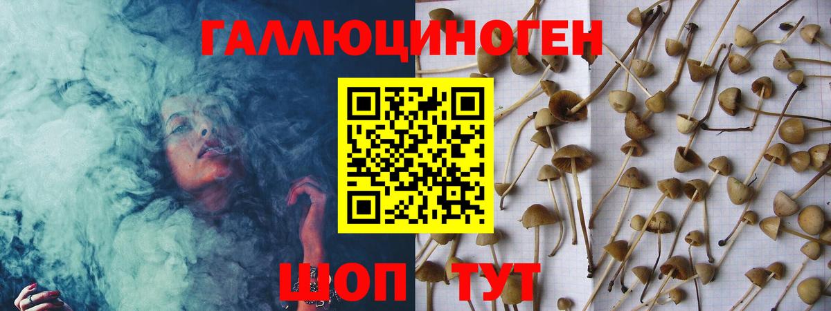 Псилоцибиновые грибы мухоморы  Вход с VPN  Костомукша 